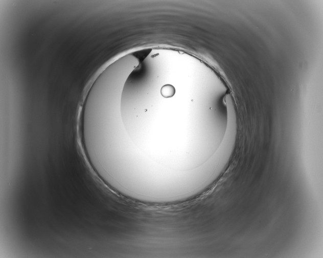 X0000087641524200705311317