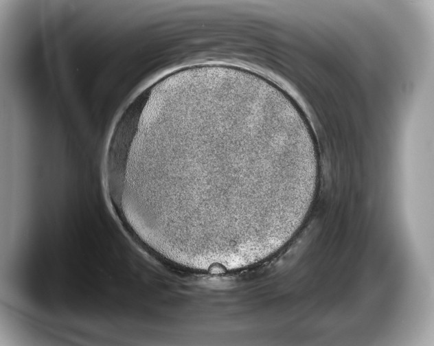 X0000087641525200705311317