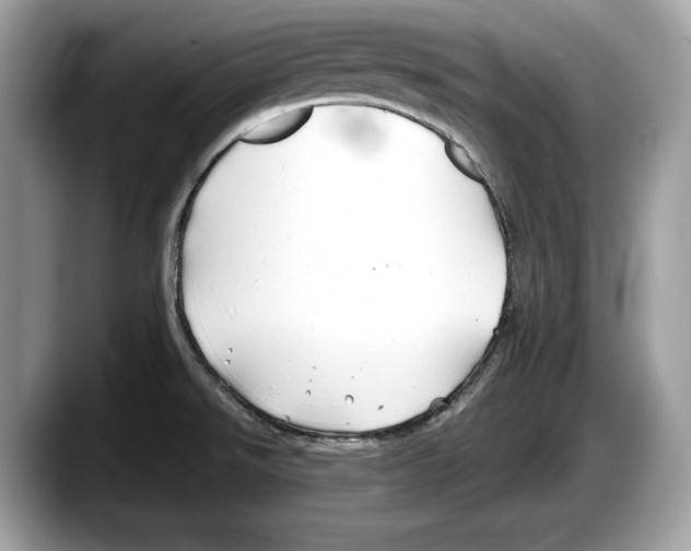 X0000087641526200705311317