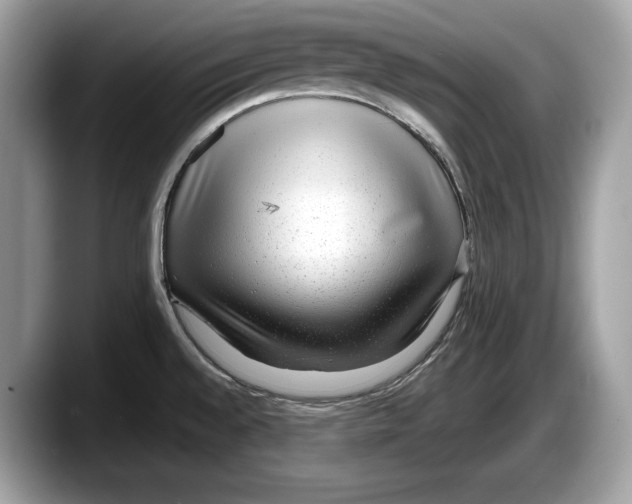 X0000087641528200705311317