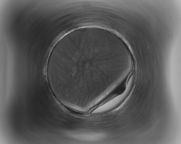 X0000087641529200705311317