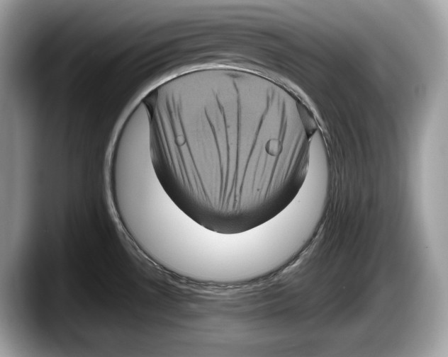 X0000087641530200705311317