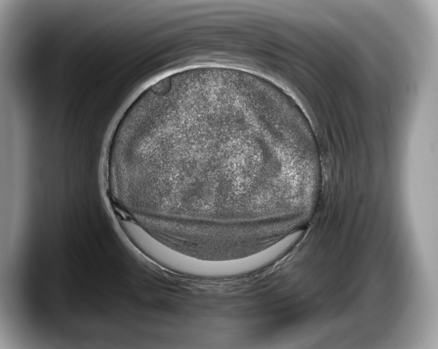 X0000087641531200705311317