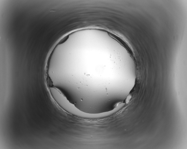 X0000087641532200705311317