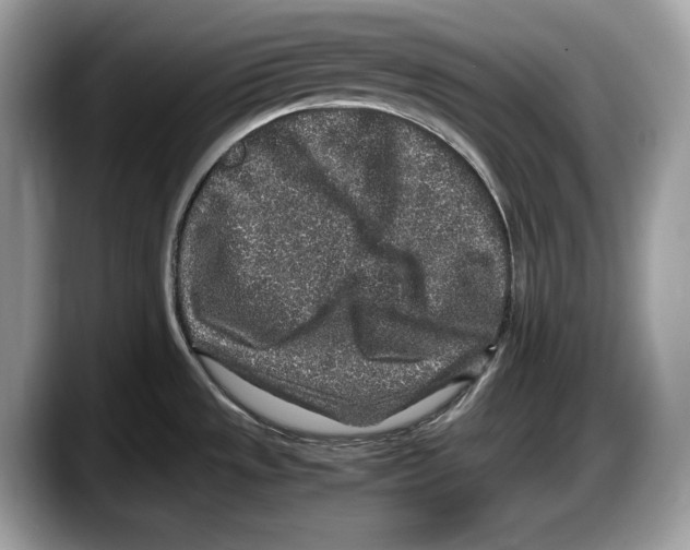 X0000087641533200705311317