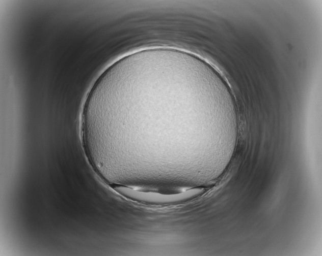 X0000087641535200705311317