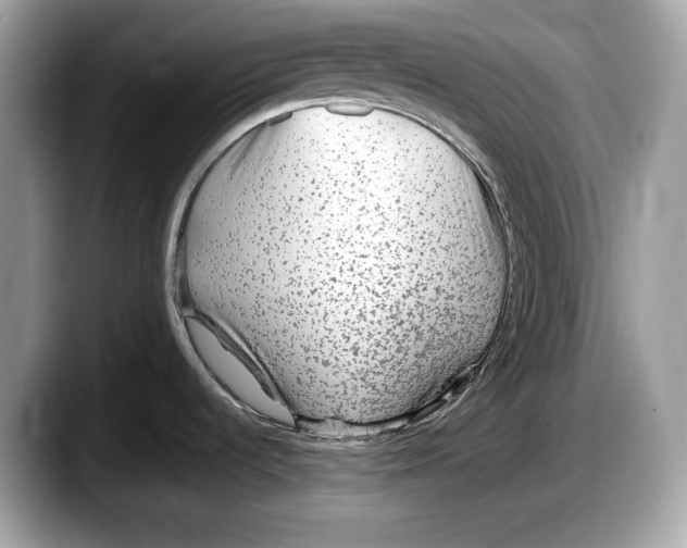 X0000087641536200705311317