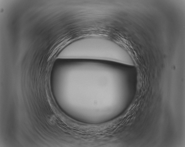 X0000087670001200705040737