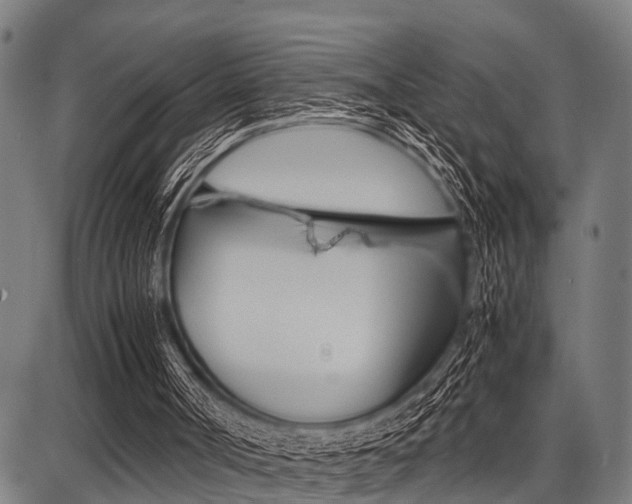 X0000087670002200705040737