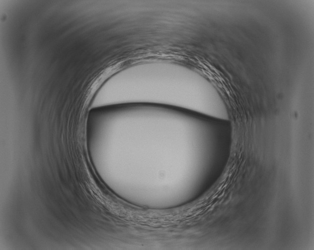 X0000087670003200705040737