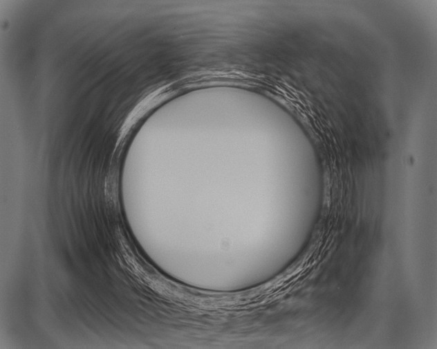 X0000087670004200705040737