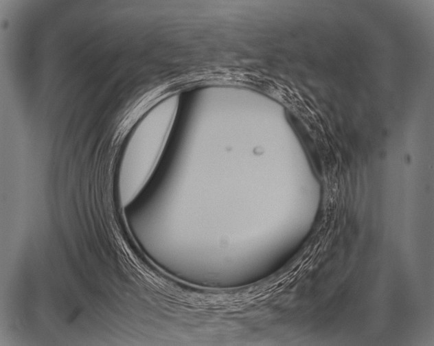 X0000087670005200705040737