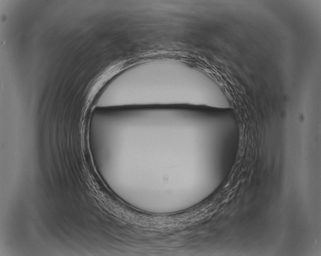 X0000087670006200705040737