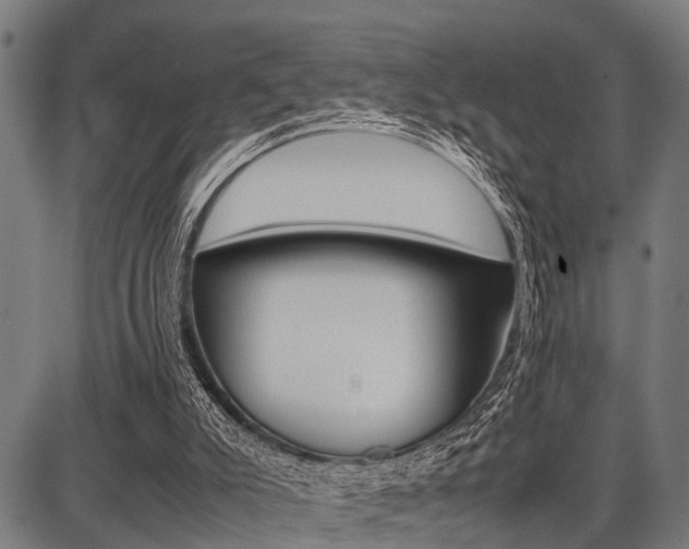 X0000087670007200705040737