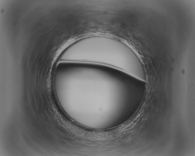 X0000087670008200705040737