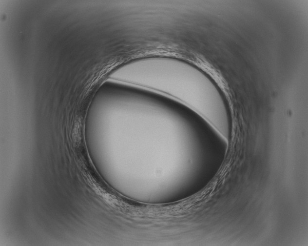 X0000087670009200705040737