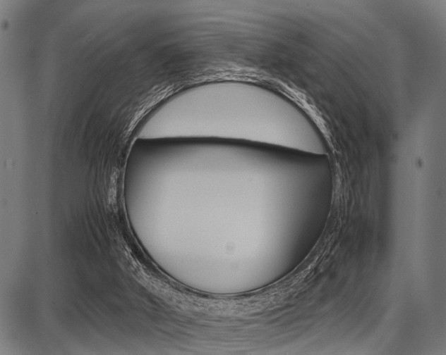 X0000087670010200705040737