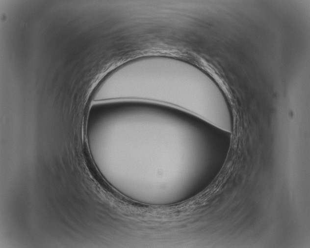 X0000087670011200705040737