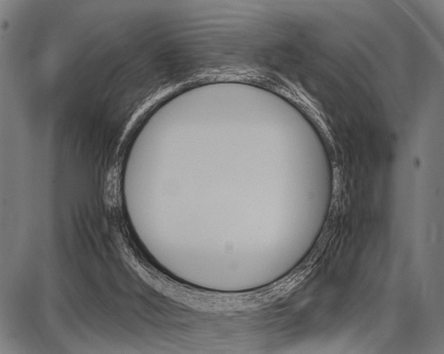 X0000087670012200705040737