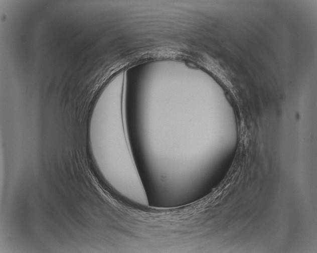 X0000087670013200705040737