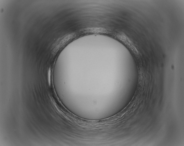 X0000087670014200705040737