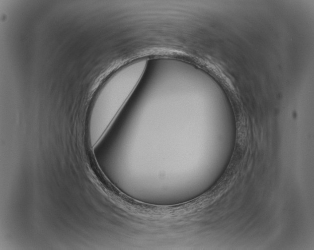 X0000087670015200705040737