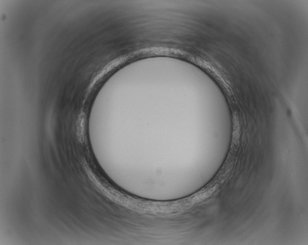 X0000087670016200705040737