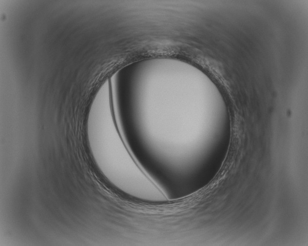 X0000087670017200705040737