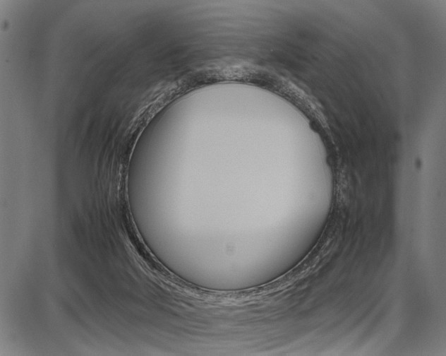 X0000087670018200705040737