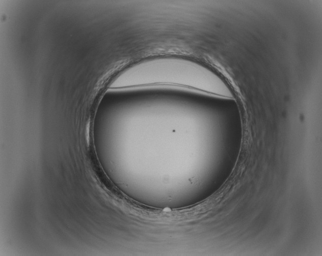 X0000087670019200705040737