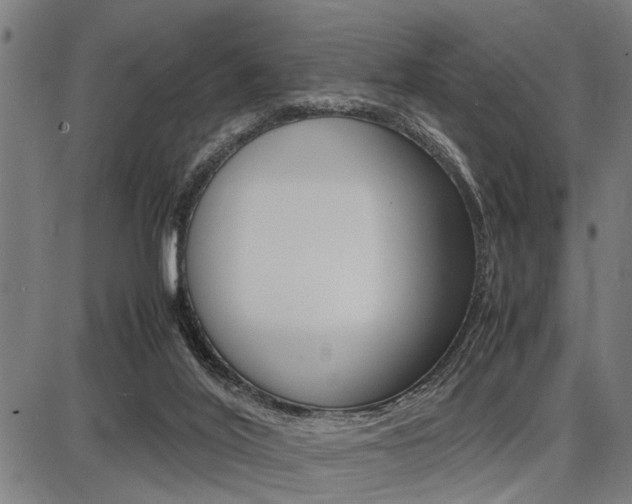 X0000087670020200705040737