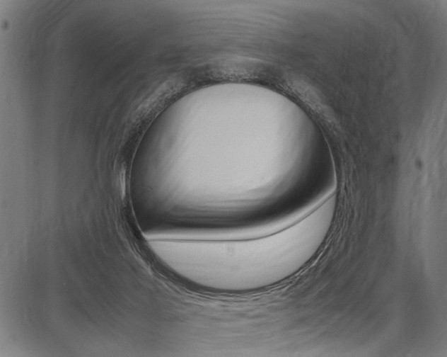 X0000087670021200705040737