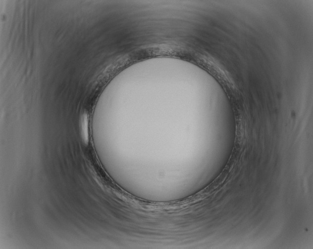 X0000087670022200705040737