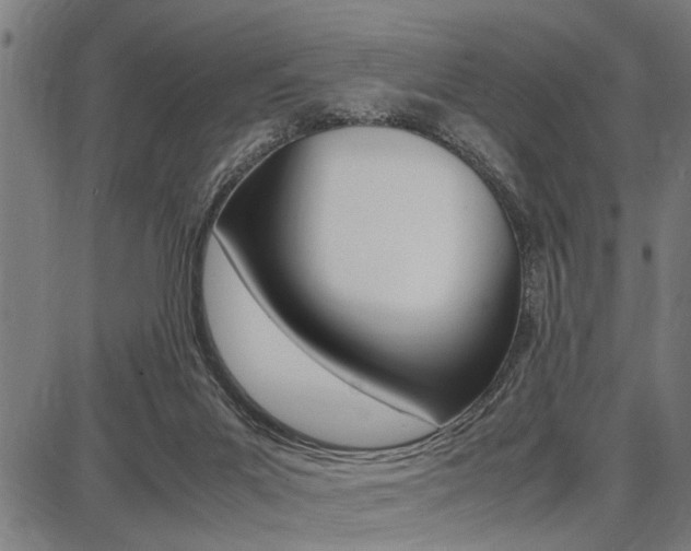 X0000087670023200705040737