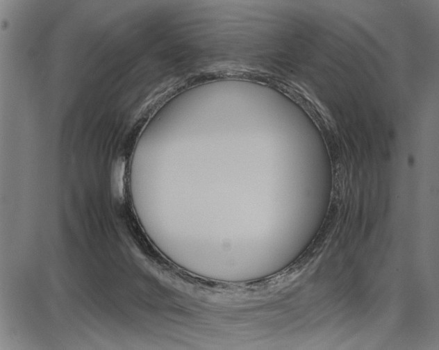 X0000087670024200705040737