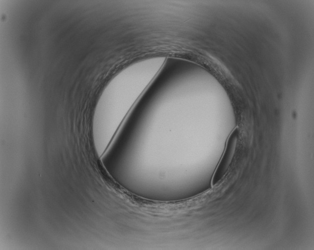 X0000087670025200705040737