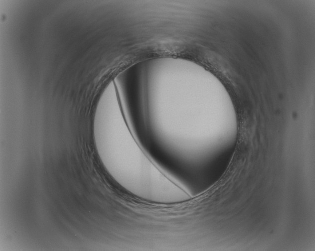 X0000087670027200705040737