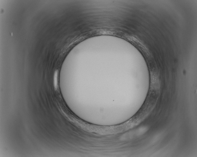 X0000087670028200705040737