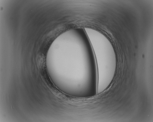 X0000087670029200705040736