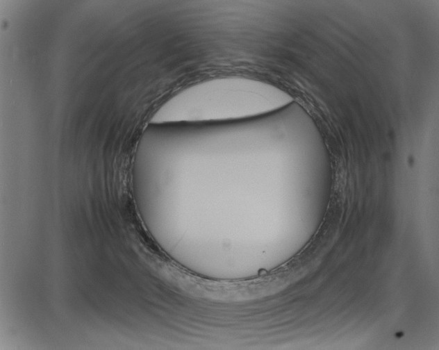 X0000087670030200705040736