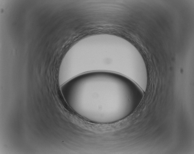 X0000087670031200705040736