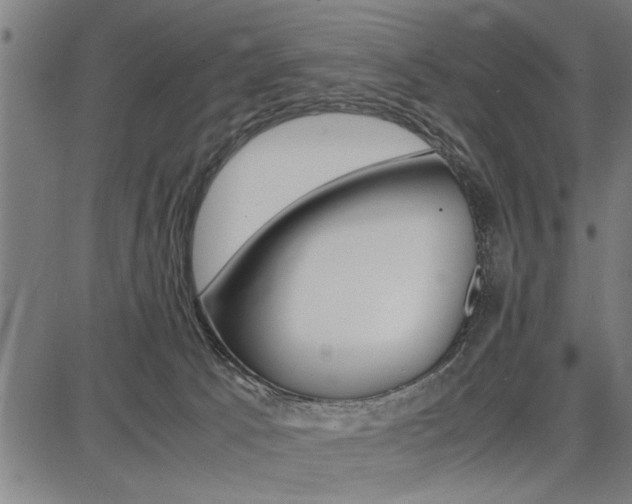 X0000087670033200705040736