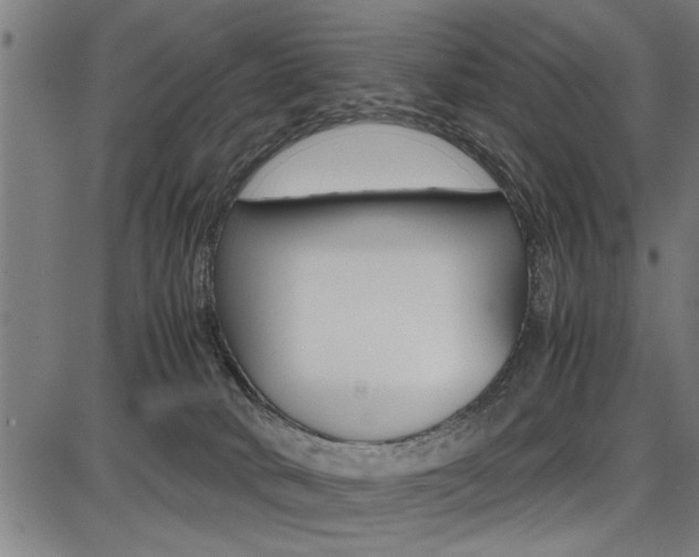 X0000087670034200705040736