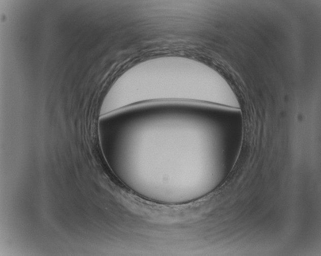 X0000087670035200705040736