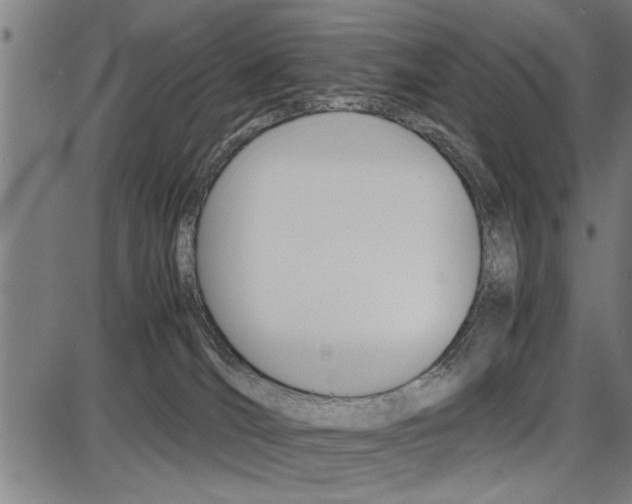 X0000087670036200705040736