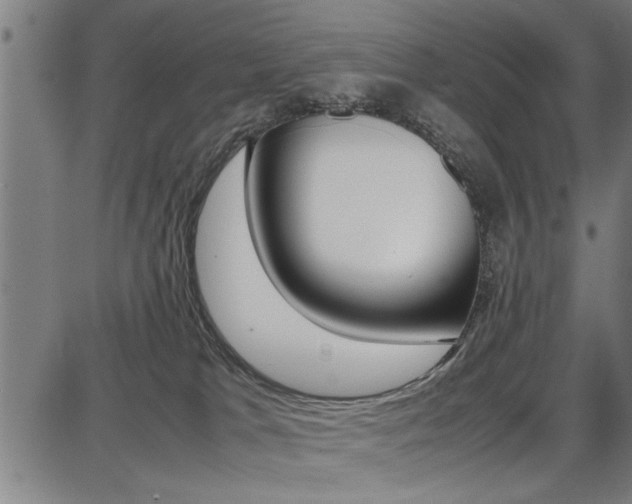 X0000087670037200705040736