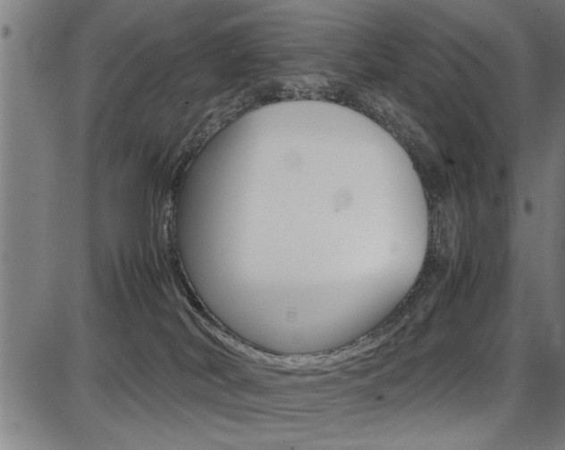 X0000087670038200705040736