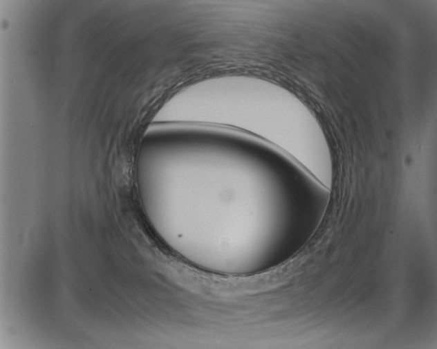 X0000087670039200705040736