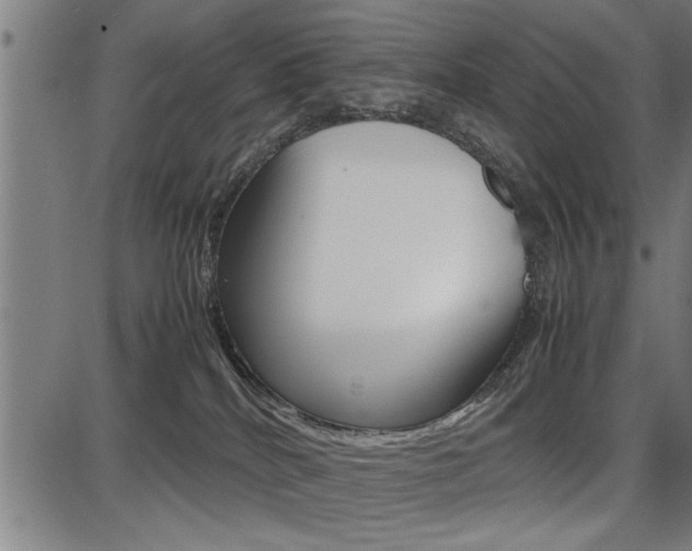 X0000087670040200705040736