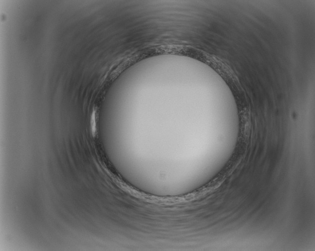 X0000087670042200705040736